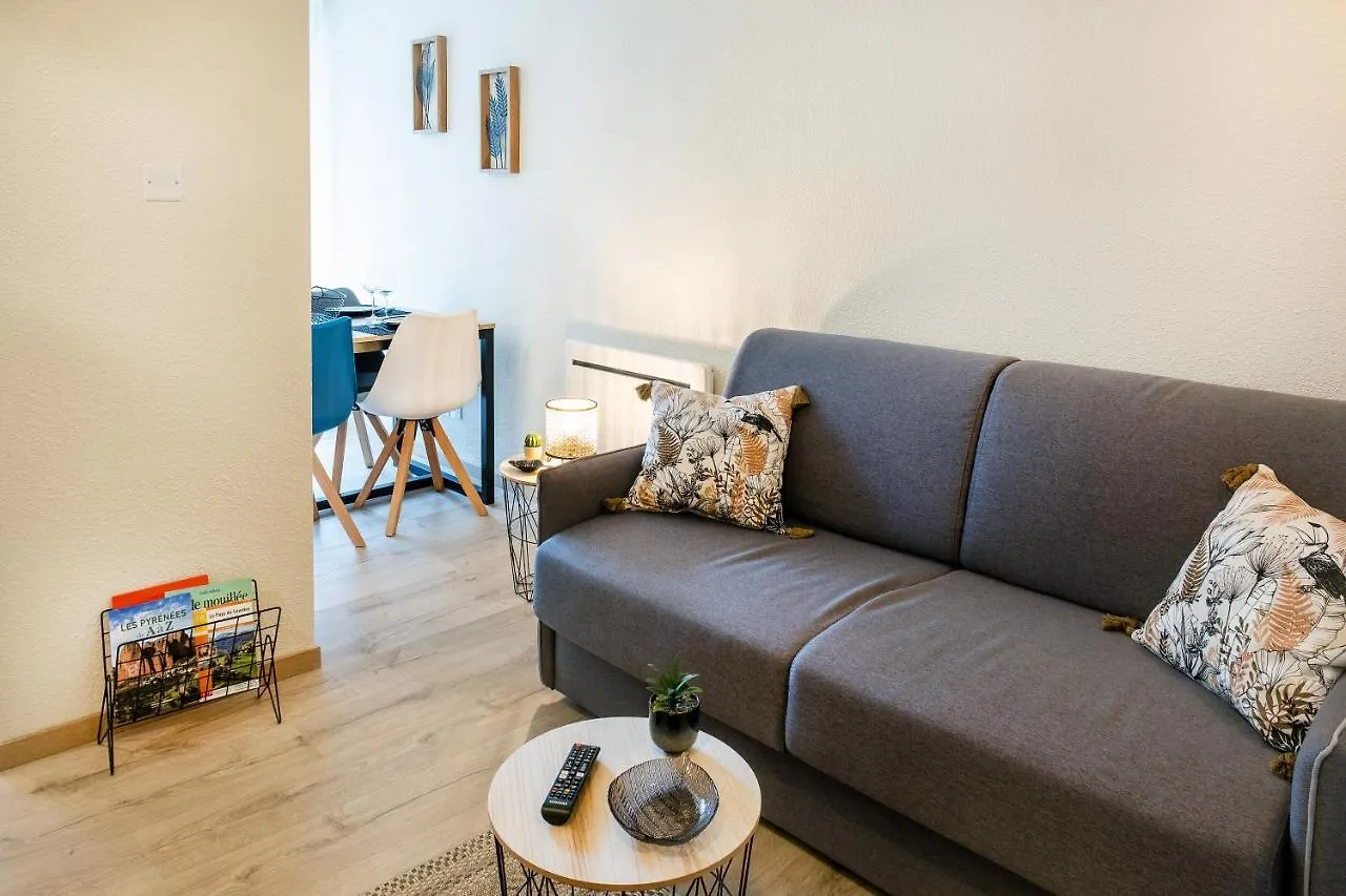 Apartment Appart. T 1 Bis, Centre Ville, Entierement Renove Lourdes